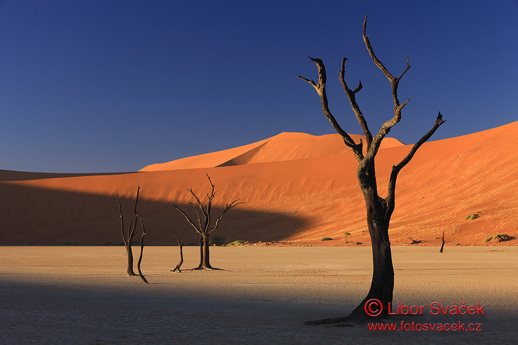 Namib 2012